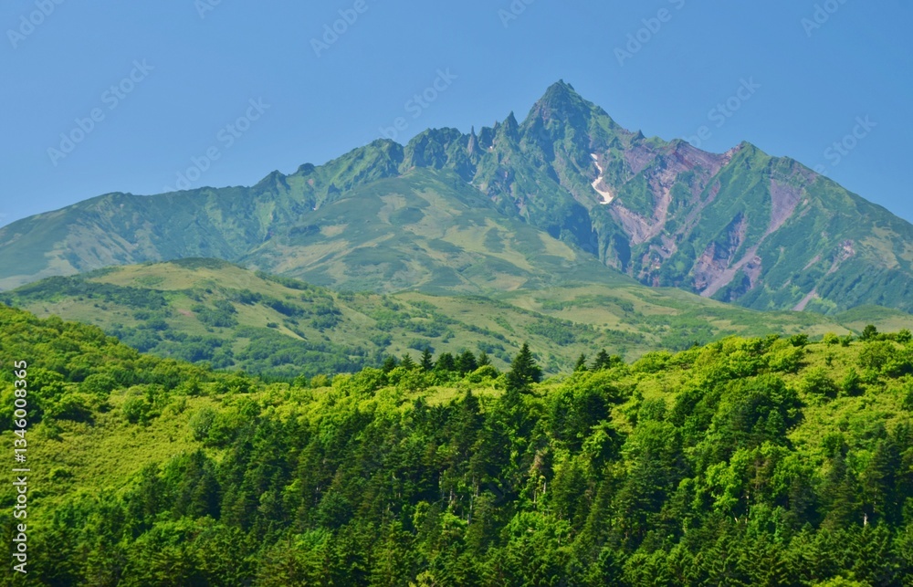 Fototapeta premium 青空に映える夏の利尻富士