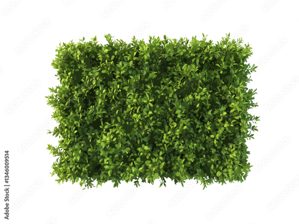 Naklejka premium A vector illustration of a rectangular hedge viewed from above, isolated on a transparent background, ideal for landscaping, gardening, and nature-related designs.