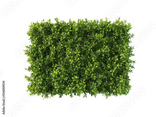 A vector illustration of a rectangular hedge viewed from above, isolated on a transparent background, ideal for landscaping, gardening, and nature-related designs.