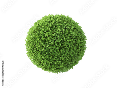 Vector top-down view of a lush, green shrub with dense, vibrant leaves isolated. The plant appears fresh and healthy, making it ideal for botanical, eco-friendly, nature, and gardening