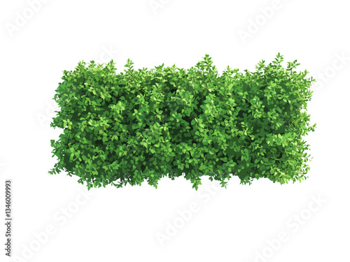 A vector illustration of a rectangular hedge viewed from above, isolated on a transparent background, ideal for landscaping, gardening, and nature-related designs.