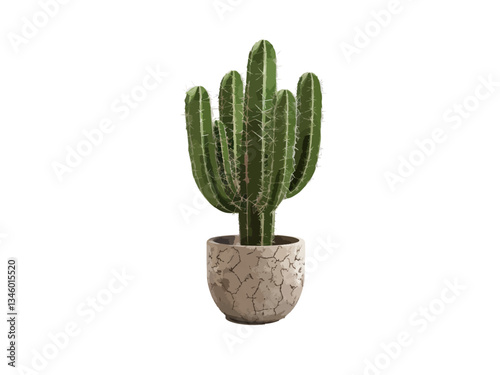 A vector illustration of a cactus in a pot viewed from the side, featuring a simple, modern design, perfect for plant, nature, and home decor-related projects.