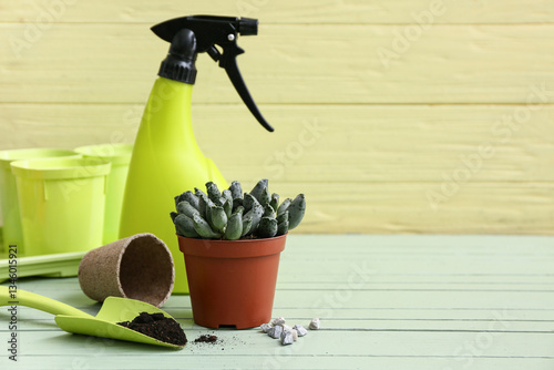 Home gardening hobby with s...