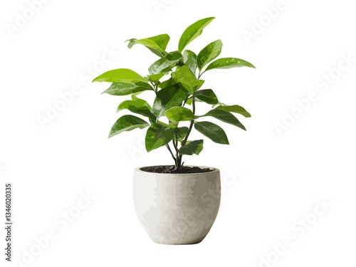 A vector illustration of a potted plant in side view, showcasing vibrant greenery and a simple, modern design, perfect for home decor or nature-related themes.