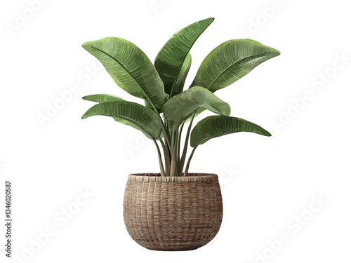 A vector illustration of a potted plant in side view, showcasing vibrant greenery and a simple, modern design, perfect for home decor or nature-related themes.