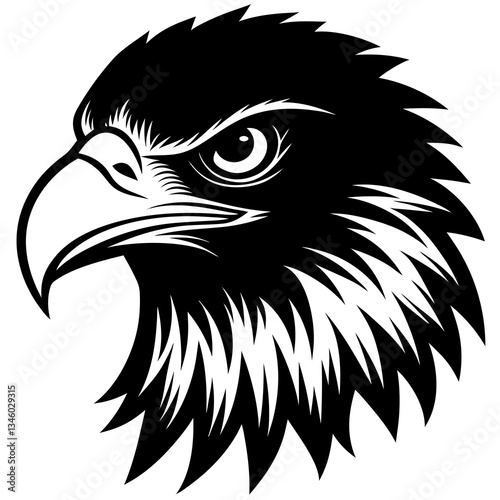 eagle head vector illustration