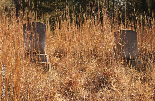 Abandoned Cemetery Located in Rural East TX Barron Cemetery