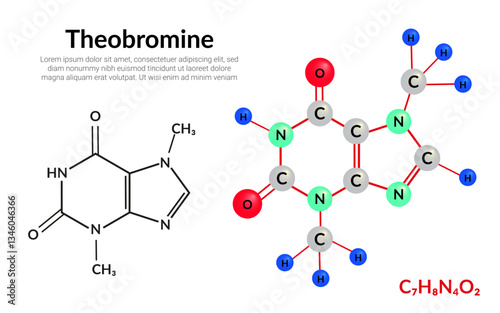 Theobromine (xantheose) chocolate alkaloid, molecular structure formula, ball-and-stick model, suitable for education or chemistry science content. Vector illustration