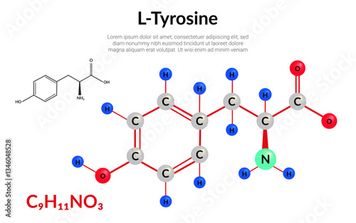 Tyrosine (l-tyrosine, Tyr, Y) C9H11NO3, amino acid, molecular structural chemical formula, ball-and-stick model, suitable for education or chemistry science content. Vector illustration