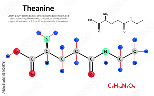 Theanine or L-theanine molecular structure formula, ball-and-stick model, suitable for education or chemistry science content. Vector illustration