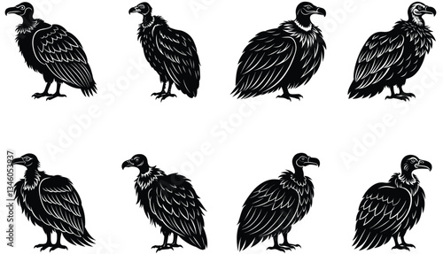 Vulture Vector Shilhouette Bundle Set 
