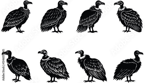 Vulture Vector Shilhouette Bundle Set 