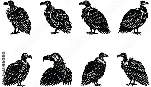 Vulture Vector Shilhouette Bundle Set 