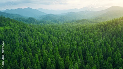 Lush Green Bioengineered Forest Landscape in Futuristic Environmental Setting