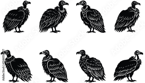 Vulture Vector Shilhouette Bundle Set 
