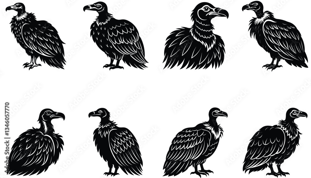 Naklejka premium Vulture Vector Shilhouette Bundle Set