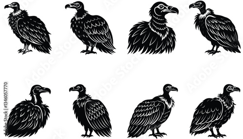 Vulture Vector Shilhouette Bundle Set 