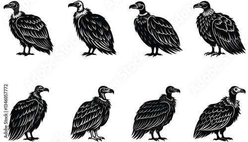 Vulture Vector Shilhouette Bundle Set 