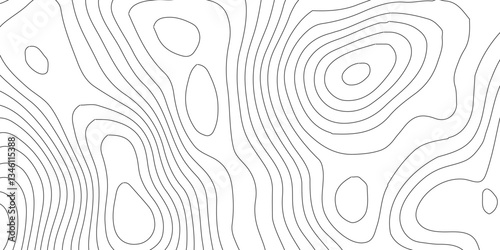 Abstract Blank Detailed Topographic Contour Map Subtle White Vector Background.White wave paper curved reliefs abstract background,paper texture Imitation of a geographical map,