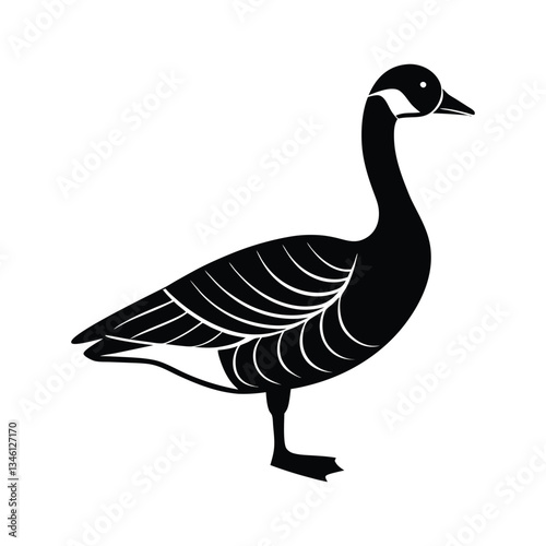 goose isolated on white