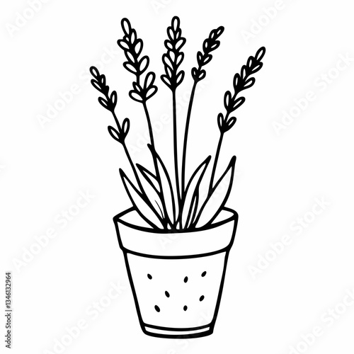 Black and White Line Art Potted Lavender Plant Illustration
