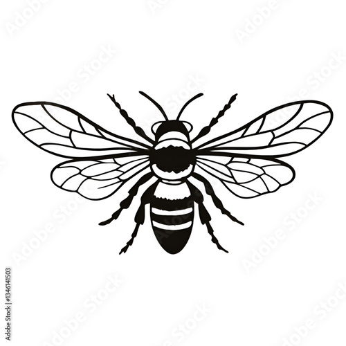 vector illustration of a bee.
