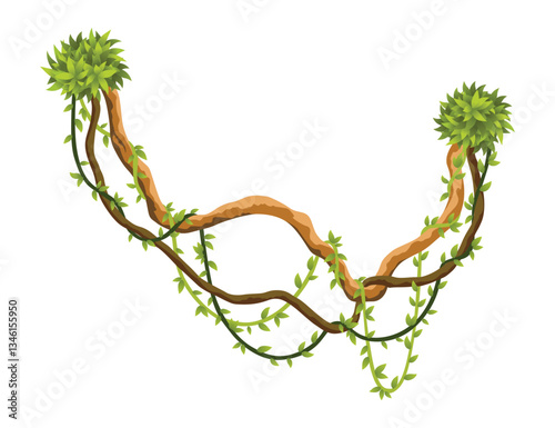 Liana branch. Twisted wild jungle vine plants. Woody natural tropical rainforest, exotic botany element. Vector design element