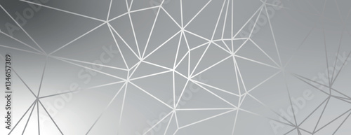 Geometric background with a modern style, featuring a gray background with white lines. The background is sleek and gray with a polygonal texture. Modern abstract geometric minimal background vector