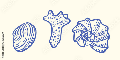 Set of Hand drawn ink vector seashell illustration. Conceptual, naive marine sketch.  Element for poster, social media, banners, invitation. Trendy seafood menu template.