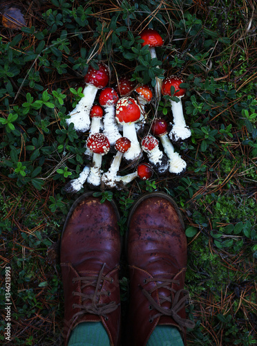 Fly agaric mushrooms and women's feet wearing red boots