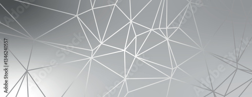 Geometric background with a modern style, featuring a gray background with white lines. The background is sleek and gray with a polygonal texture. Modern abstract geometric minimal background vector
