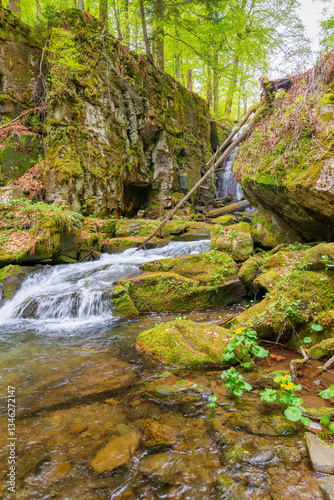 Obraz na płótnie landscape with river among rock in forest. clear water stream in nature green environment. beautiful natural park scenery near wild waterfall in spring w salonie
