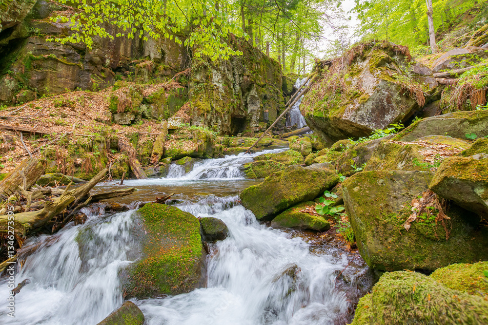 landscape with river among rock in forest. clear water stream in nature green environment. beautiful natural park scenery near wild waterfall in spring