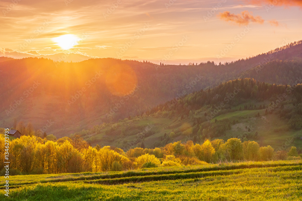 countryside outdoor view in evening light. mountain landscape in spring. rural nature background with green meadow and forest on the hill under clouds on sky