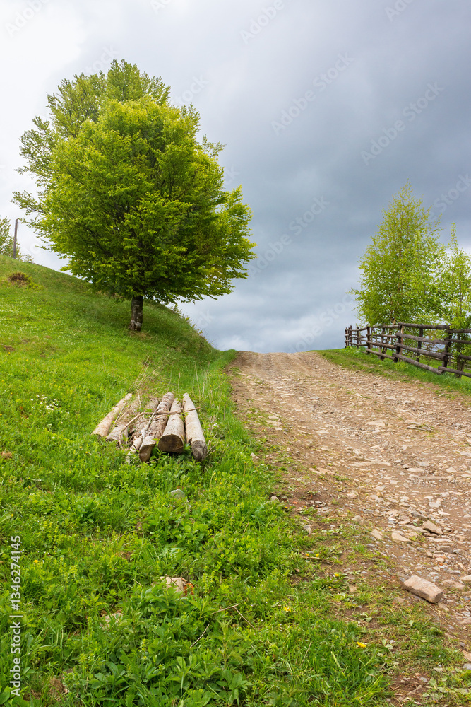 countryside mountain landscape in spring. green nature with cloudy sky. beautiful view with fence along the path through hill in the rain for tourism. rural outdoor adventure