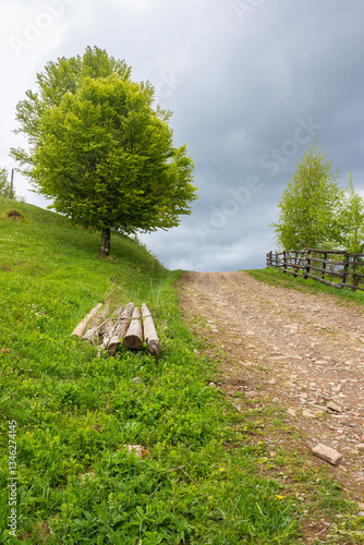 Obraz na płótnie countryside mountain landscape in spring. green nature with cloudy sky. beautiful view with fence along the path through hill in the rain for tourism. rural outdoor adventure w salonie