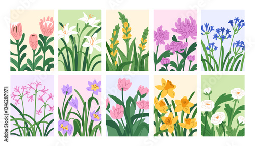Floral card designs with blooming flowers. Botanical posters with spring and summer garden blossoms, chrysanthemum, daffodil, lily, protea, ranunculus, nature background. Flat vector illustrations