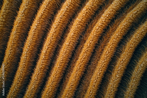 Textured floral surface. Warm, diagonal lines. Close-up, fuzzy detail. Rich coloration