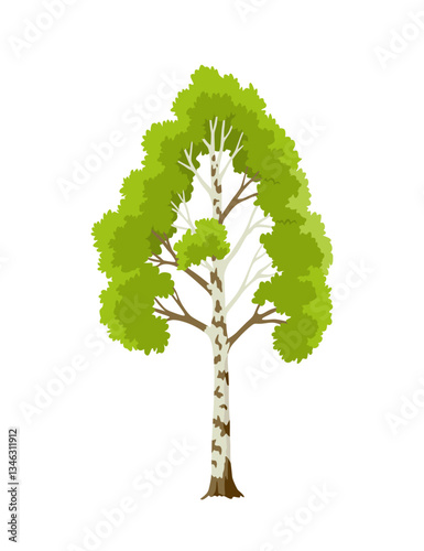 Obraz na płótnie Kind of tree icon, birch. Deciduous plant. Green crowns and lush foliage with natural brown trunks and branches. Vector cartoon illustration w salonie