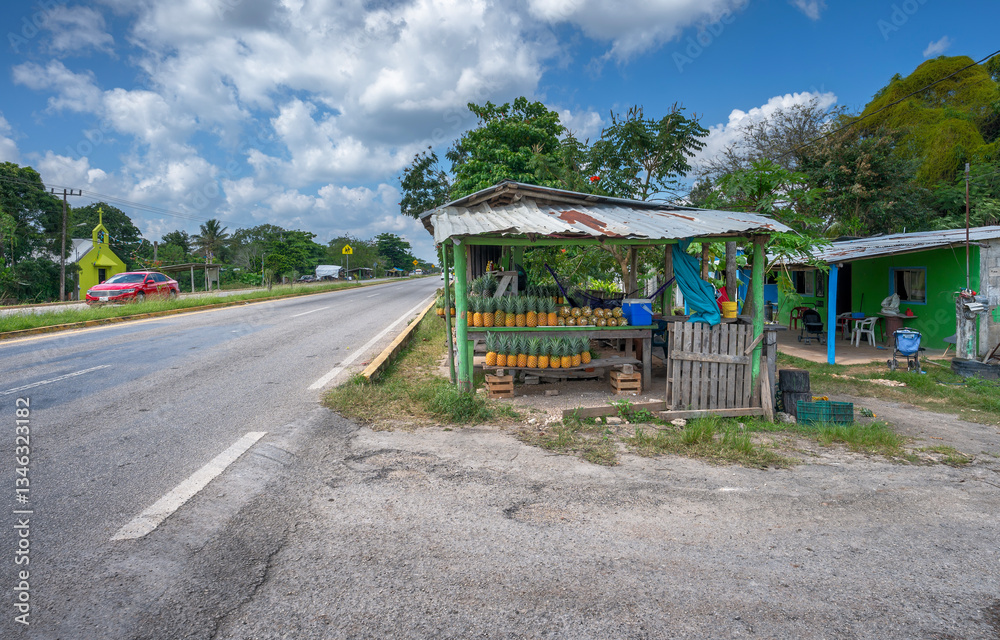 Highway and roadside fruit and vegetable stand at Pedro Antonio Santos, Quintana Roo, Mexico Highway and roadside fruit and vegetable stand at Pedro Antonio Santos, Quintana Roo, Mexico