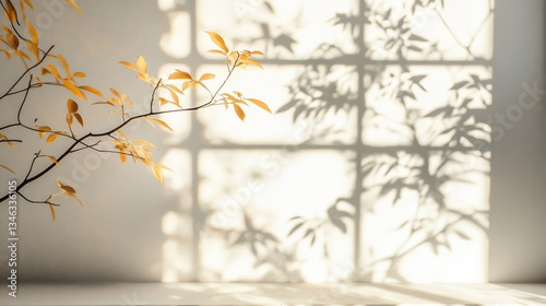 Dappled Morning Light Filtering Through Glass, Delicate Reflections, A Whisper of Minimalist Calm