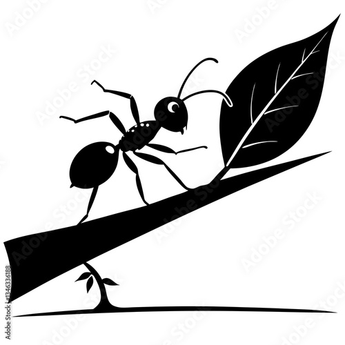 ant on a white