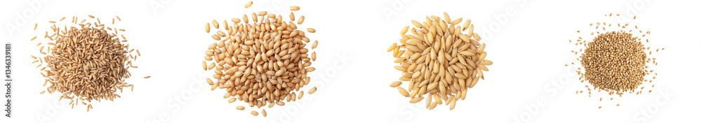 Fototapeta premium Unhulled and uncooked brown rice is presented in isolation on a white surface from directly above