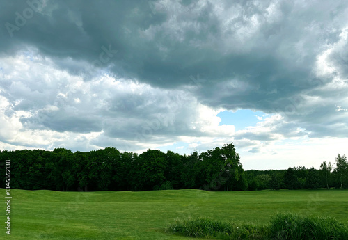 green field and blue sky