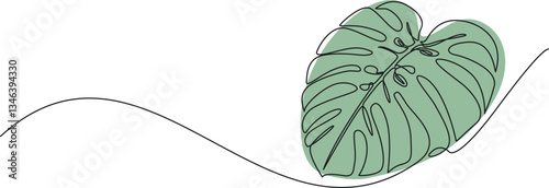 continuous single line drawing of a monstera leaf, line art vector illustration