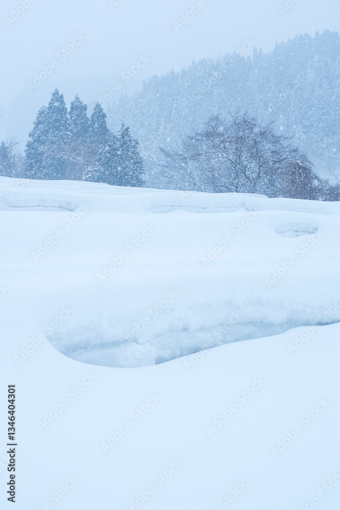 Obraz premium 雪が積もった氷ノ山の棚田の風景 鳥取県 氷ノ山
