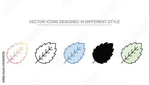 Spearmint icon design with white background stock illustration