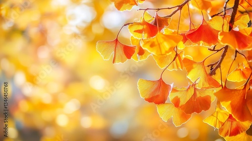 TexturesBackgrounds Beautiful Autumn Scene Vibrant photo