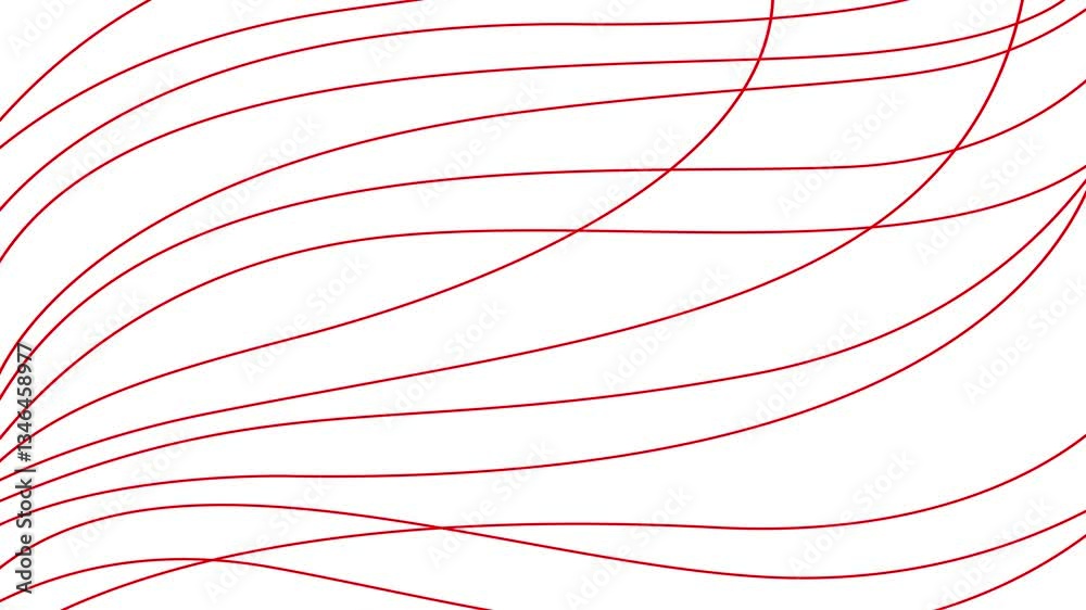 Animated red decorative wavy lines is drawn. Linear background. Looped video. Vector illustration isolated on white background.
