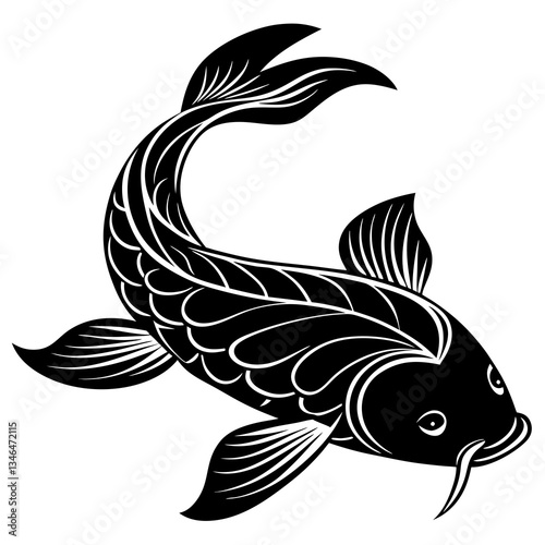 koi fish on a white